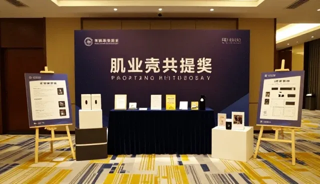 策划视角下的市场分析报告应用场景深度解析